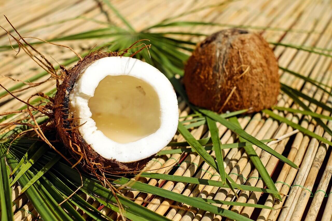 Gdzie rosną kokosy? Uprawa palm kokosowych