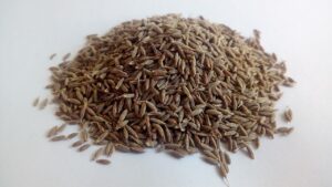 Czym zastąpić kmin rzymski (kumin)?