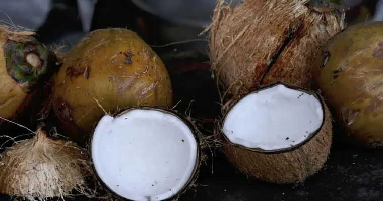 Czym zastąpić mleczko kokosowe?