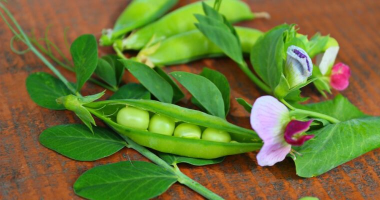Czym zastąpić groszek cukrowy?