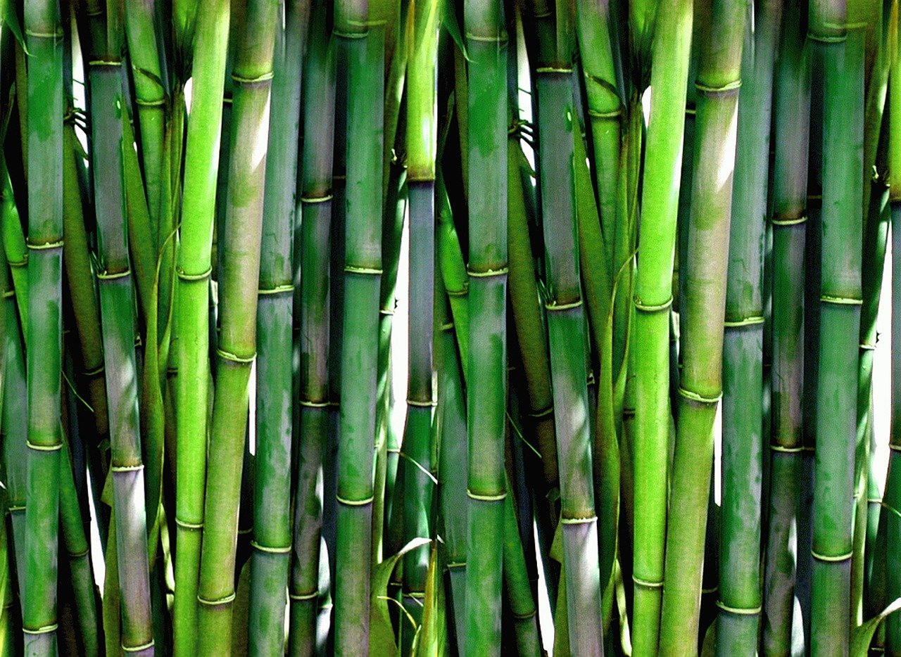 What Can You Substitute for Bamboo Fiber?