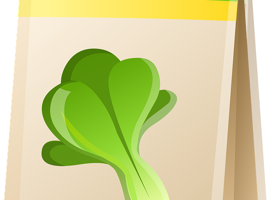 Pak Choi ersetzen – Alternative zu Pak Choi