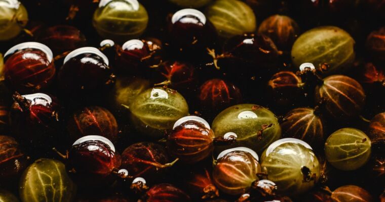 Kompot z agrestu – przepis